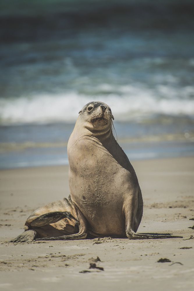 Фотография автора Csépe Róbert