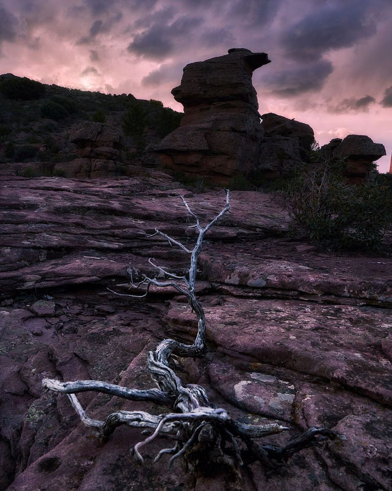 Photograph by Daniel Villalba Garcia