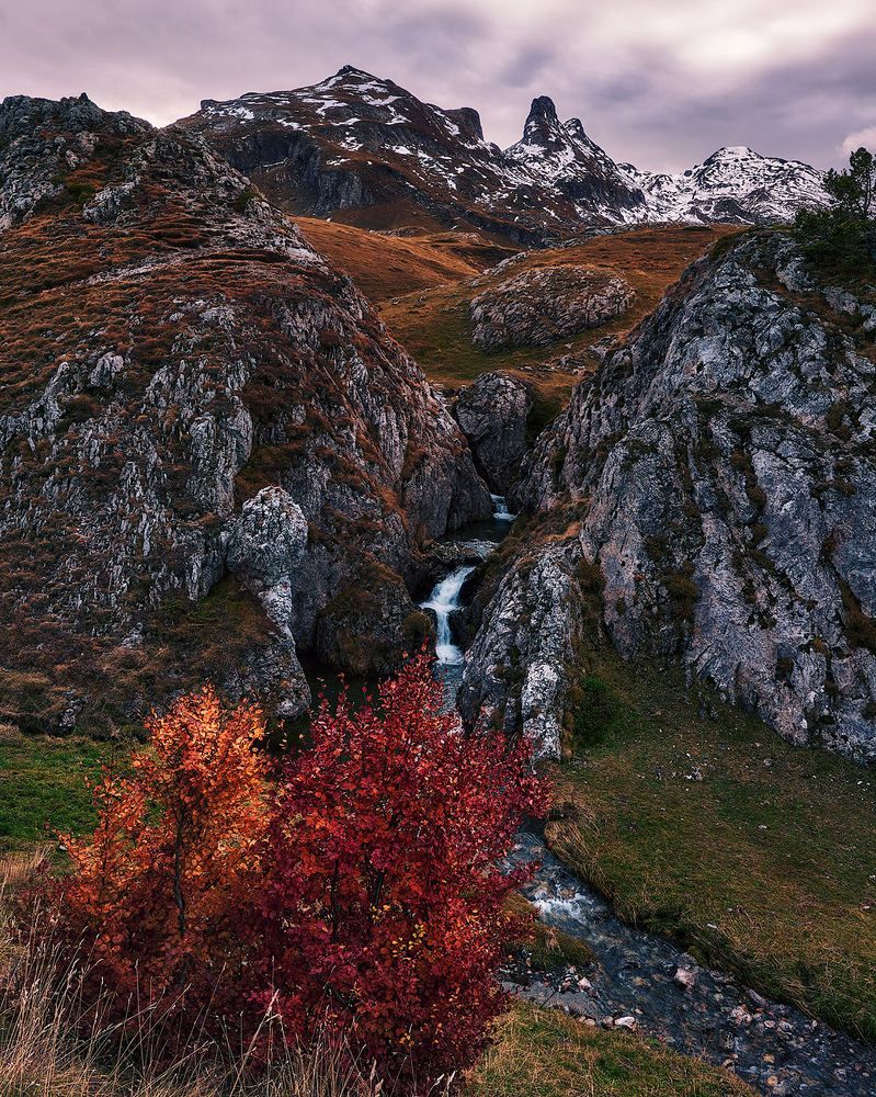 Photograph by Daniel Villalba Garcia