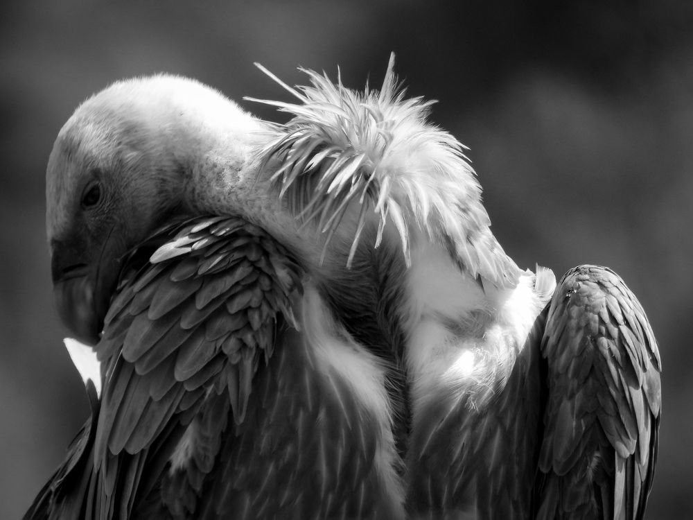 Photograph by Inbar Schnitzer