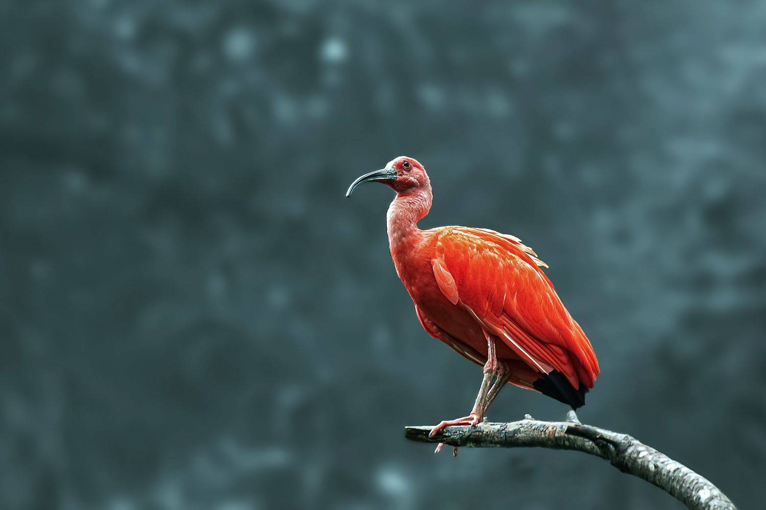 Фотография #9975691