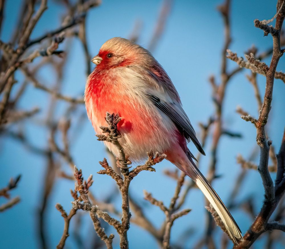 Photograph by Алексей