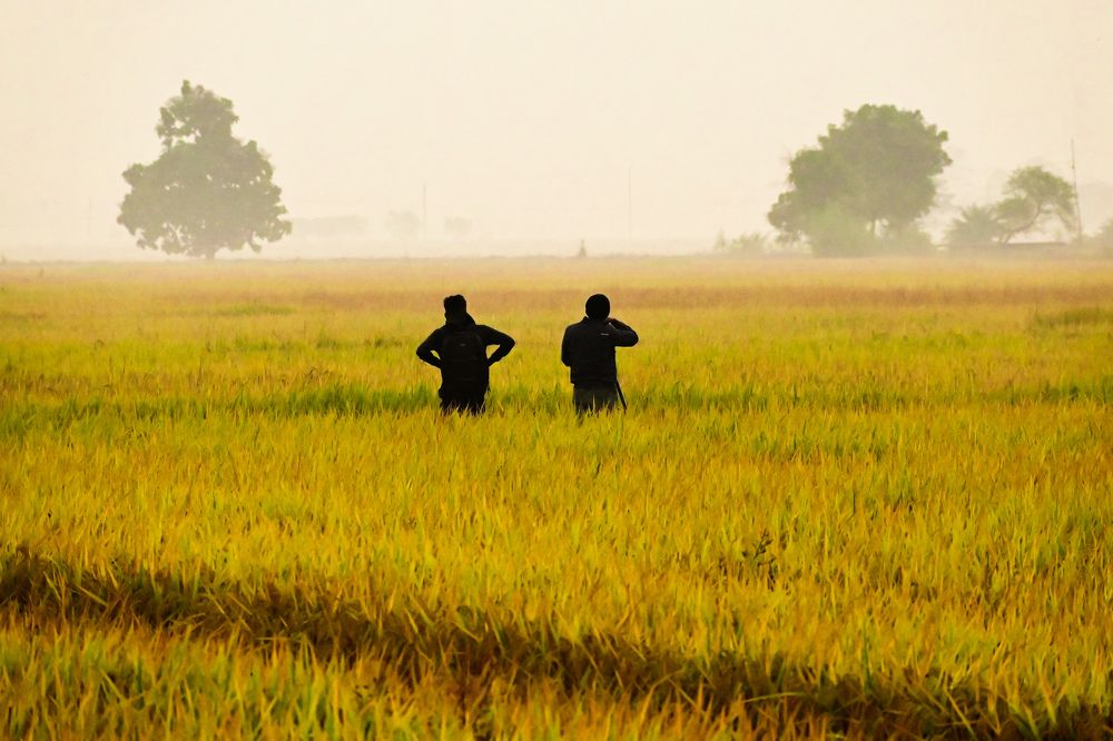 Photograph by DIBYAJYOTI PANDA