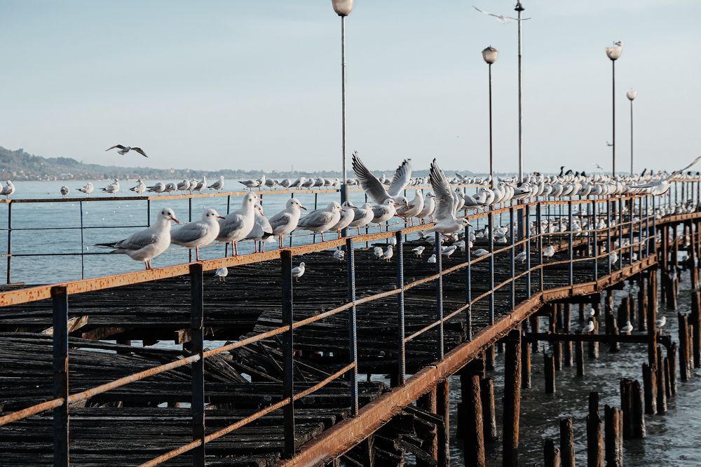 Photograph by Алеся Сафарова