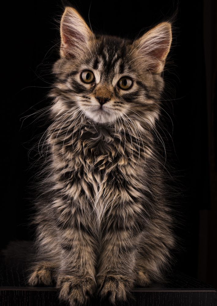 Photograph by Sergei Baltaev