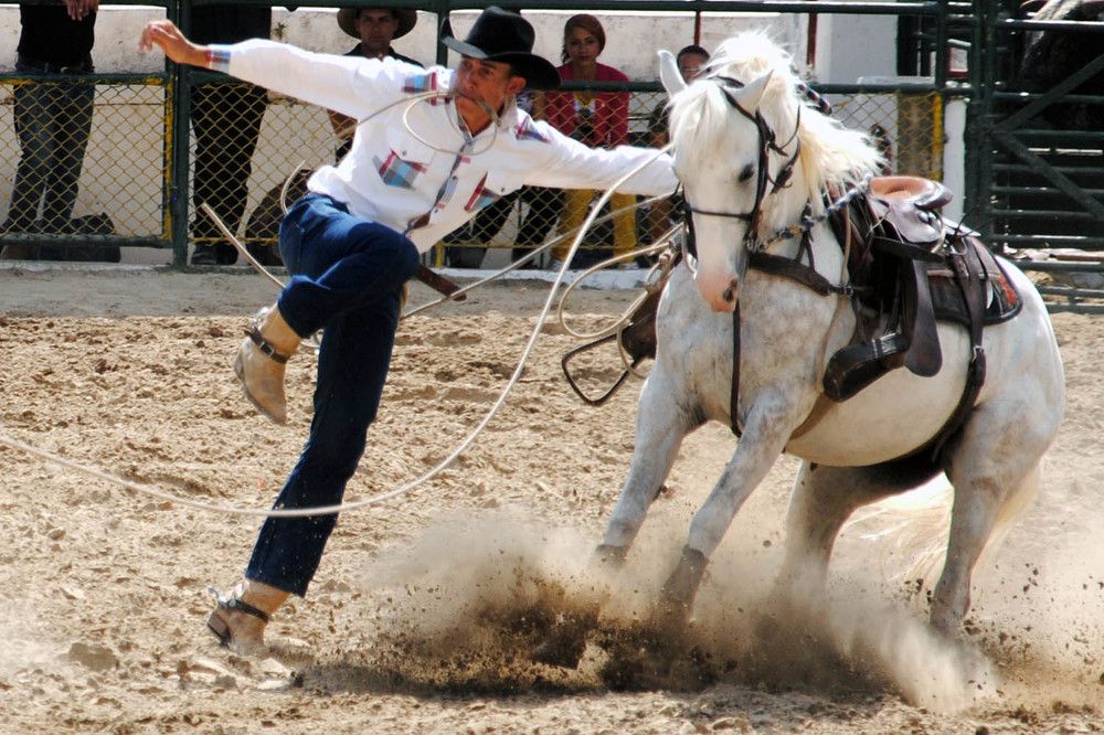 Belleza y Destreza van de la mano "