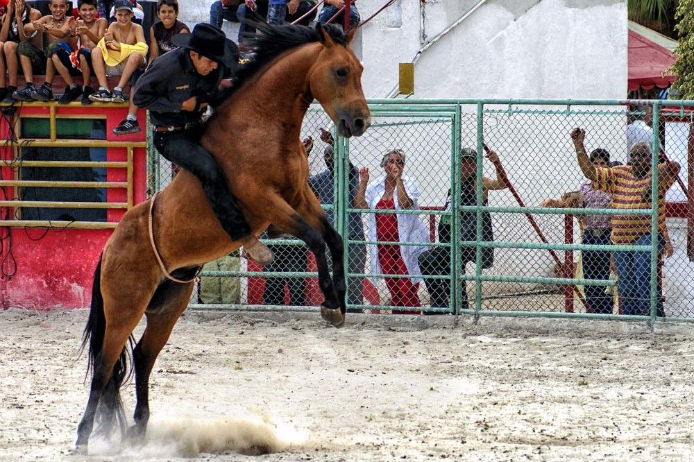 Photograph by Luisa Martina Hernández