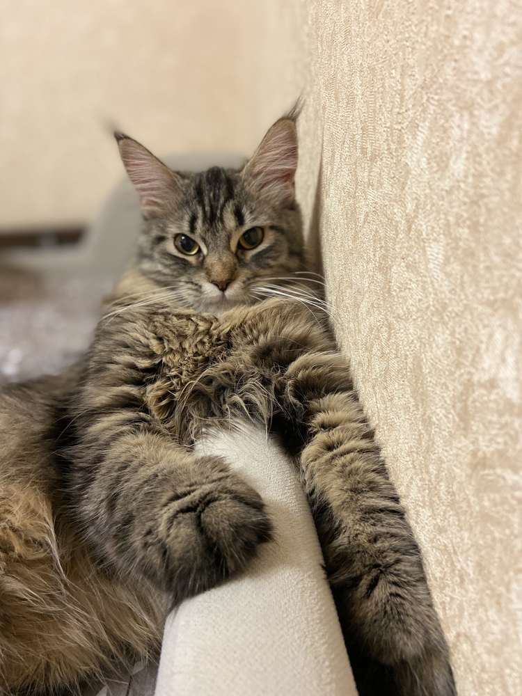 Photograph by Sergei Baltaev