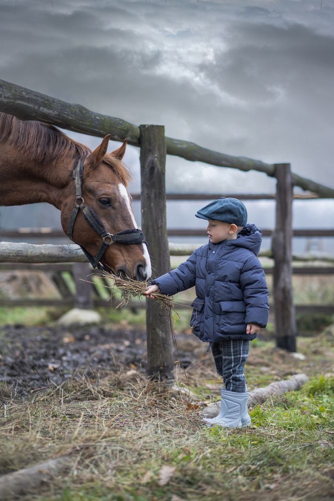 Фотография автора Ольга Кошина