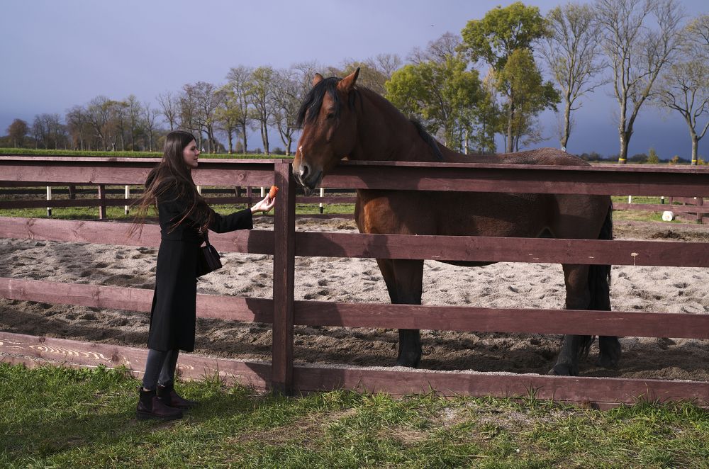 Photograph by Александр Журавлев