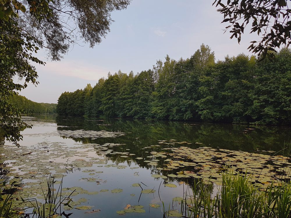 Photograph by Анна Любимова