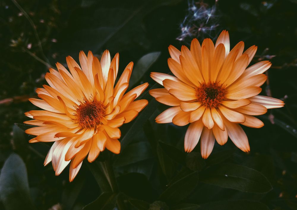 Photograph by Анна Любимова