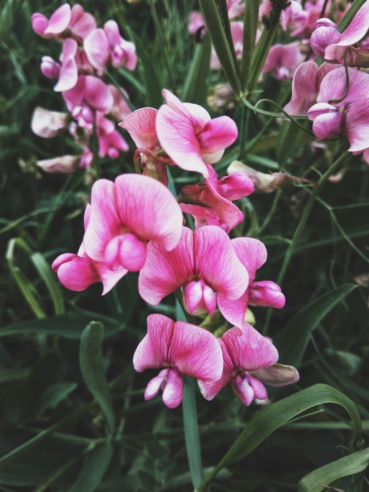 Photograph by Анна Любимова