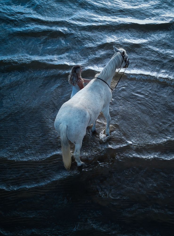 Photograph by Дмитрий Копылов