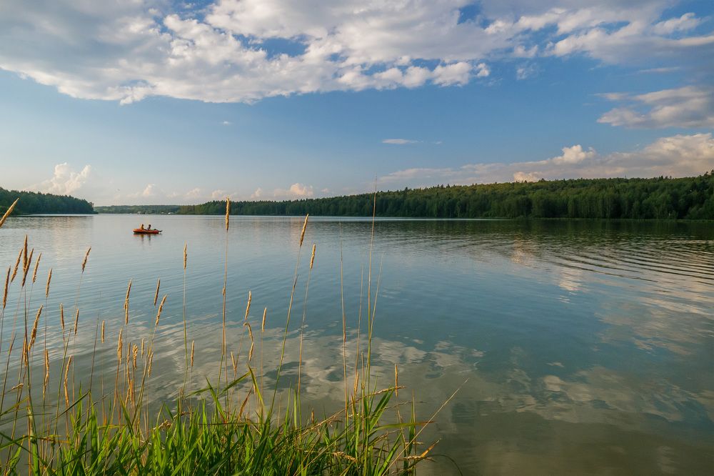 Photograph by Михаил Шохин