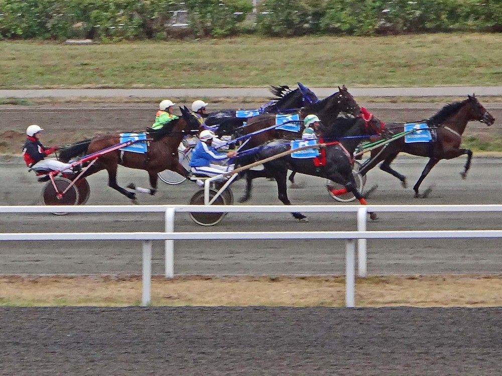 Photograph by Игорь Пшеничников