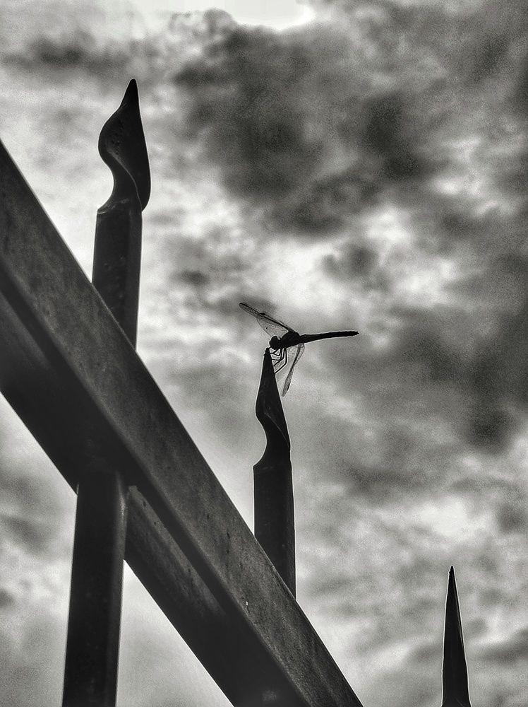 Наперекор судьбе ❦