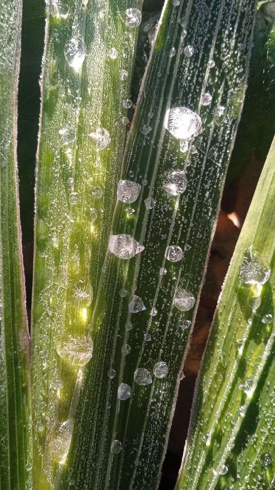 Photograph by Ольга Рыкова