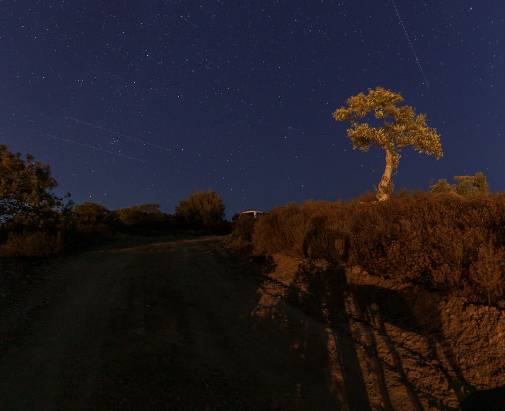 Photograph by Taтьяна Войлокова