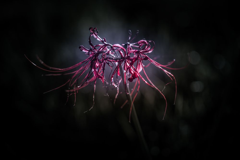 Фотография автора Fumi Taki