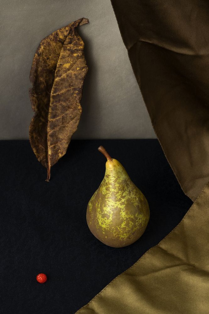 Photograph by Елена Коврижных