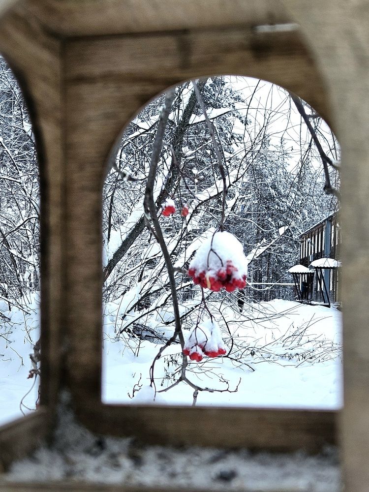 Зимние зарисовки