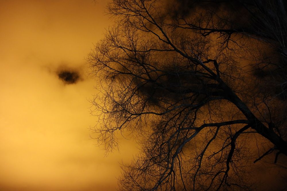 Фотография автора Колосова Елена