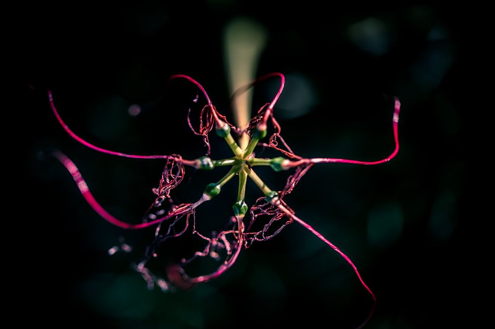 Фотография автора Fumi Taki