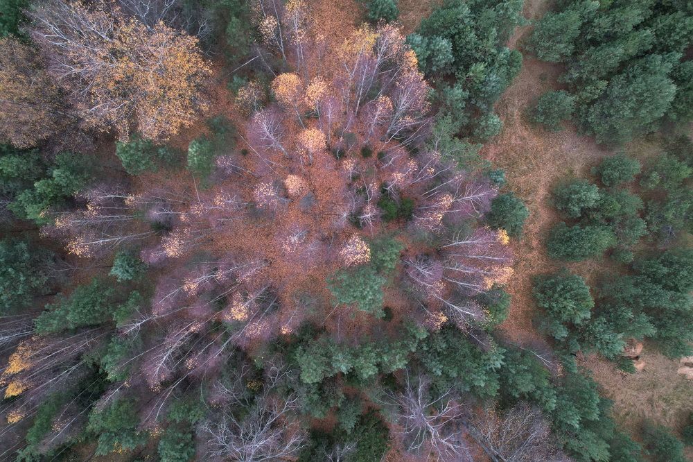 Фотография автора Колосова Елена