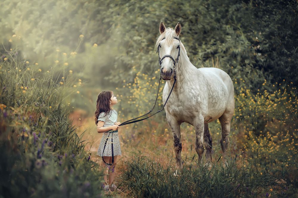 Photograph by Алина Кордис