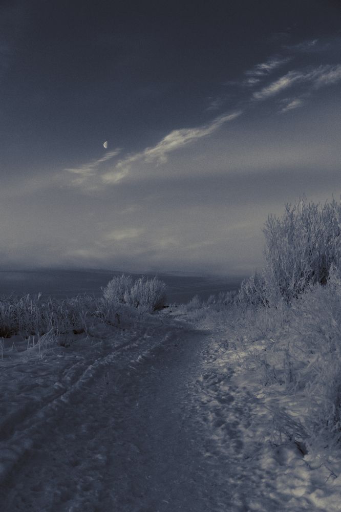 Photograph by Константин Хворостов