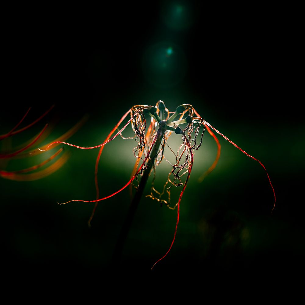 Фотография автора Fumi Taki