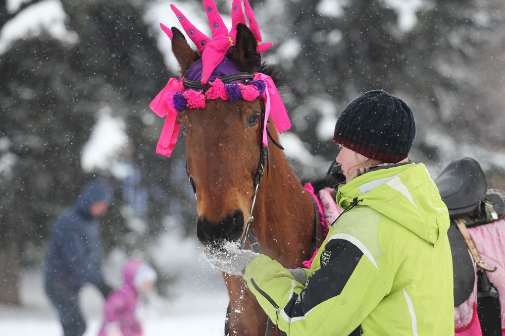 Фотография автора Колосова Елена