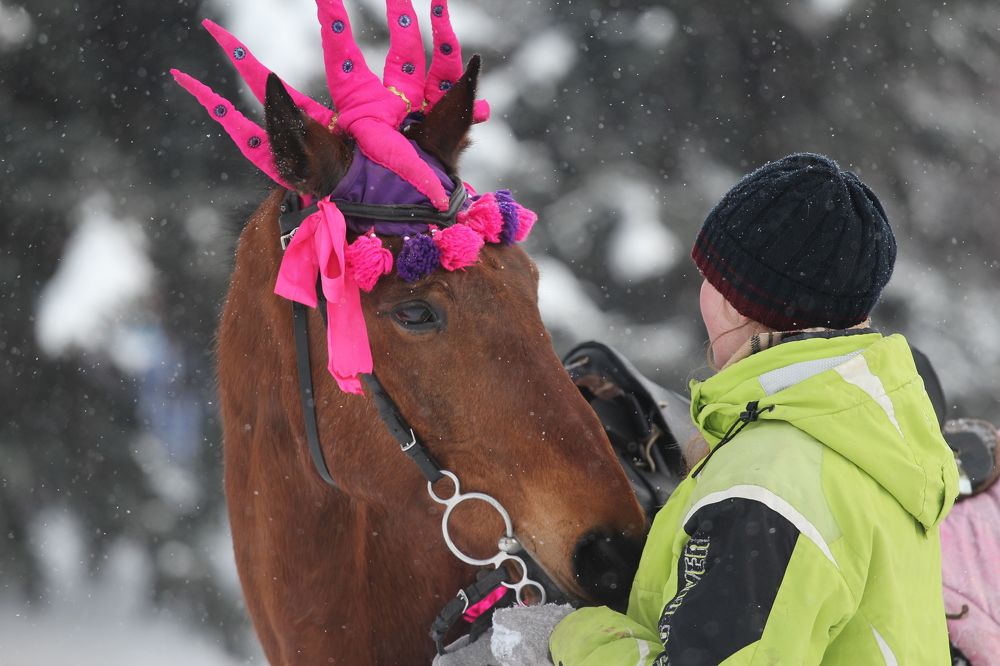 Фотография автора Колосова Елена