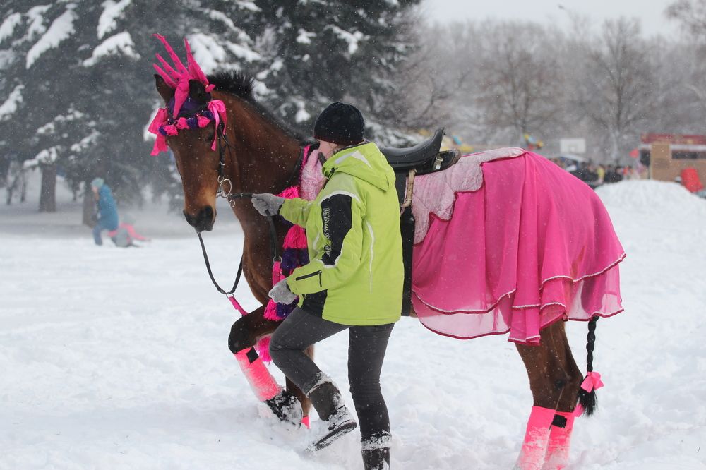 Фотография автора Колосова Елена