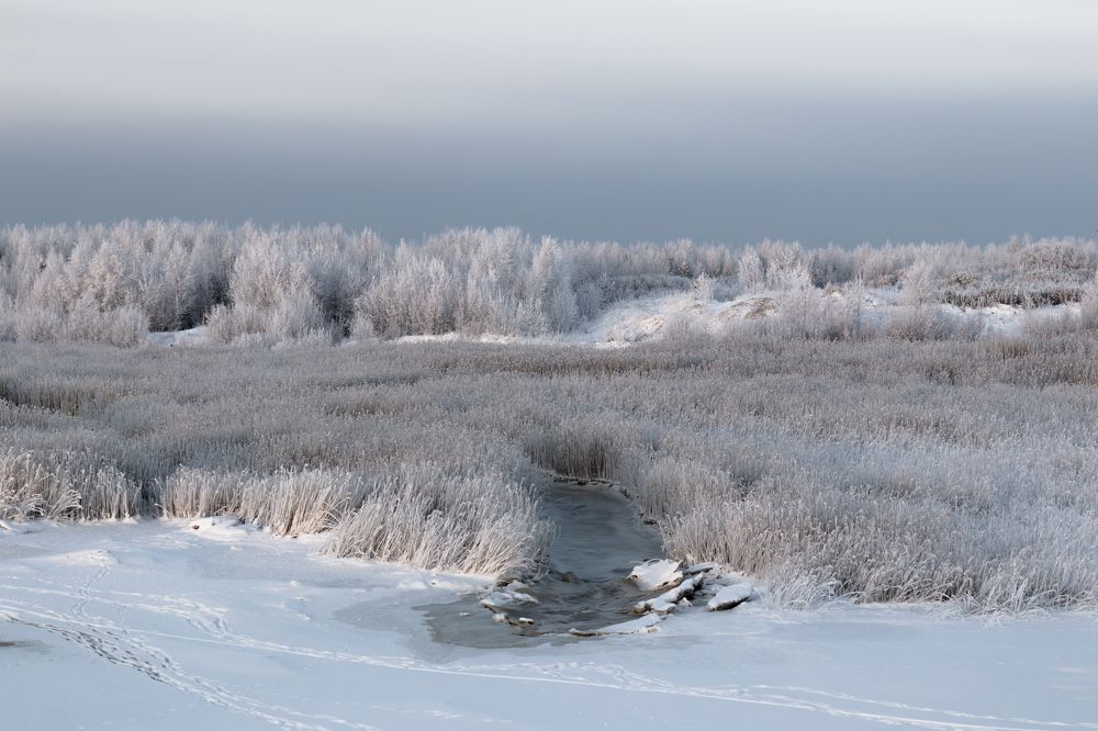 Photograph by Константин Хворостов