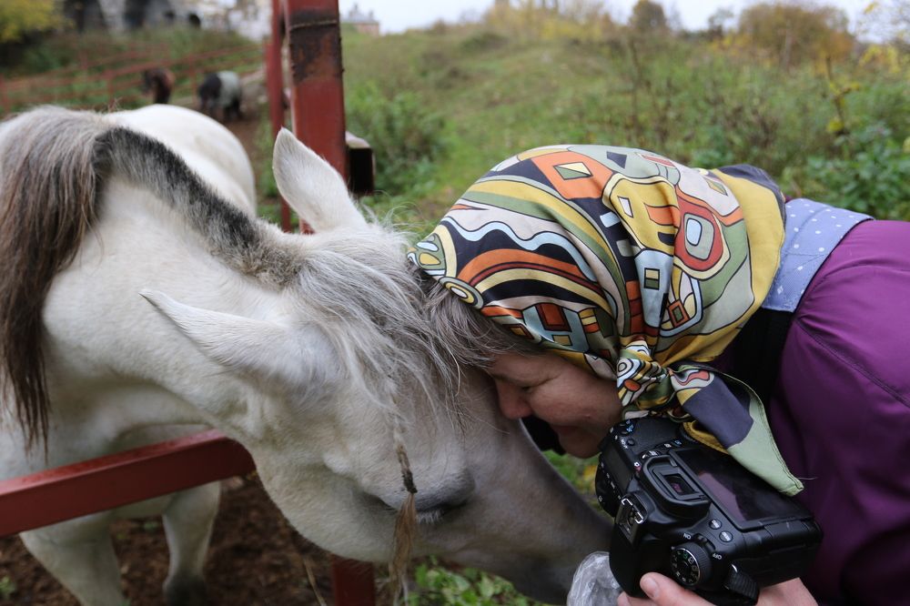 Фотография автора Колосова Елена