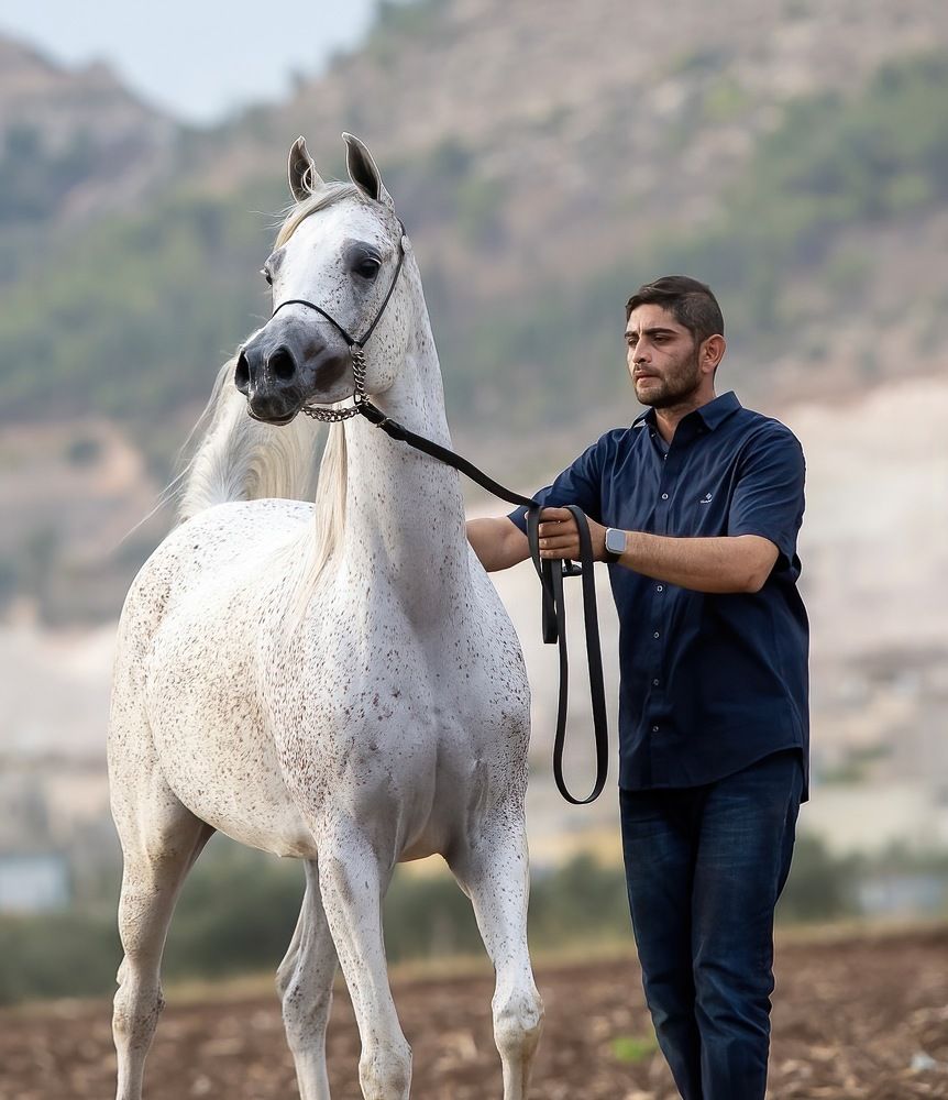Фотография автора Mohammed sajd Abo ganem