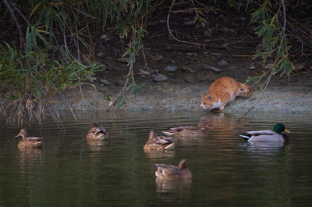 Photograph by Antonis Papaconstantinou