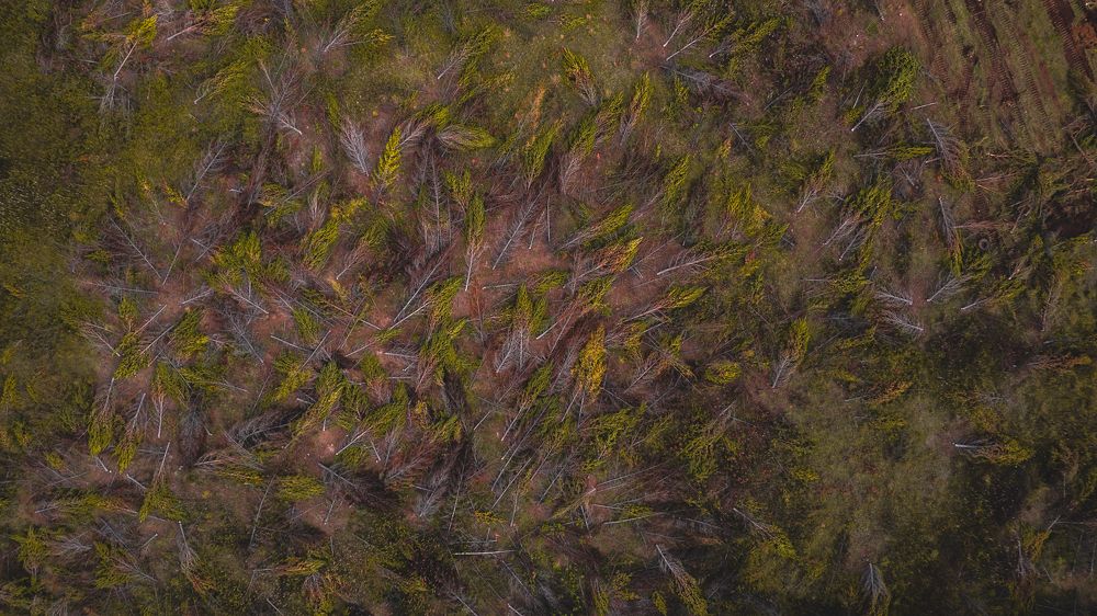 Фотография автора Эдуард Галеев