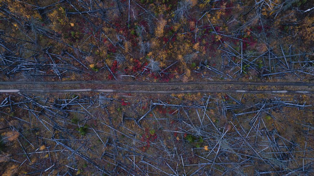 Фотография автора Эдуард Галеев