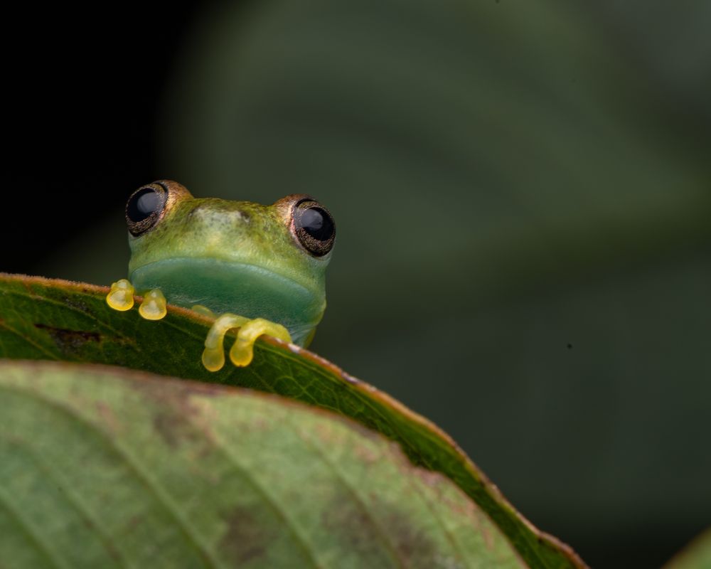 Photograph by Mateo García Mejía