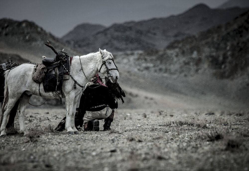 Photograph by Ирина Шевакова