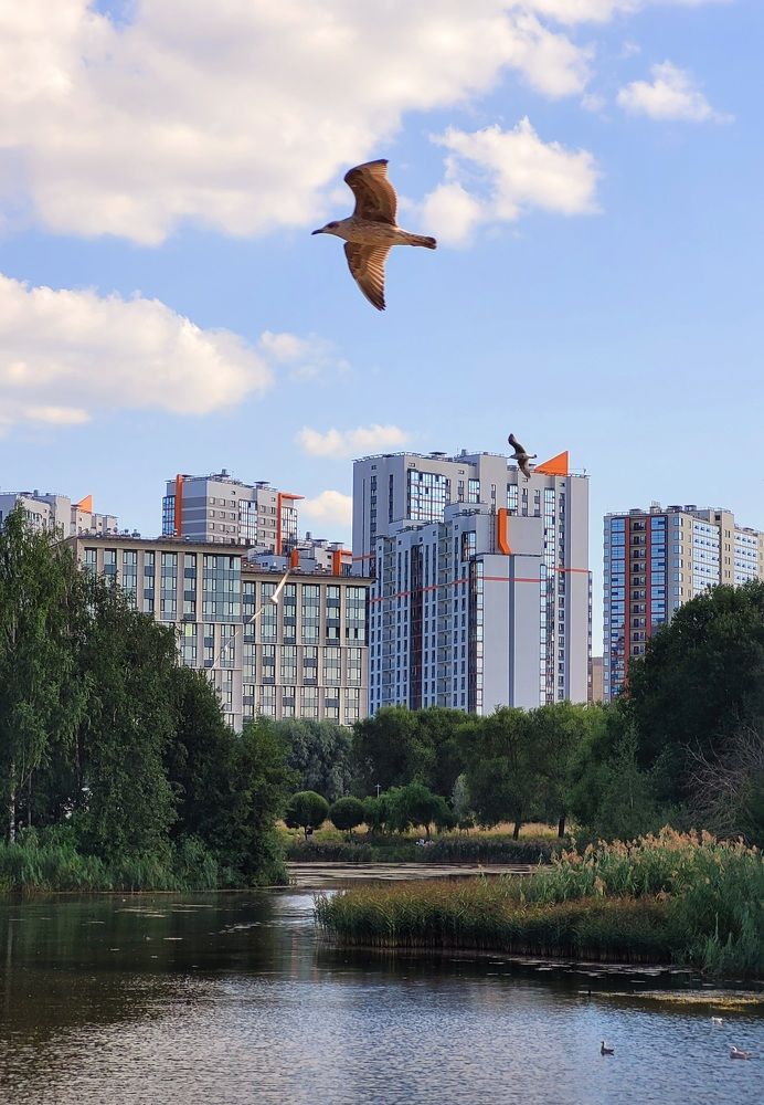 Photograph by Владислав Моисеев