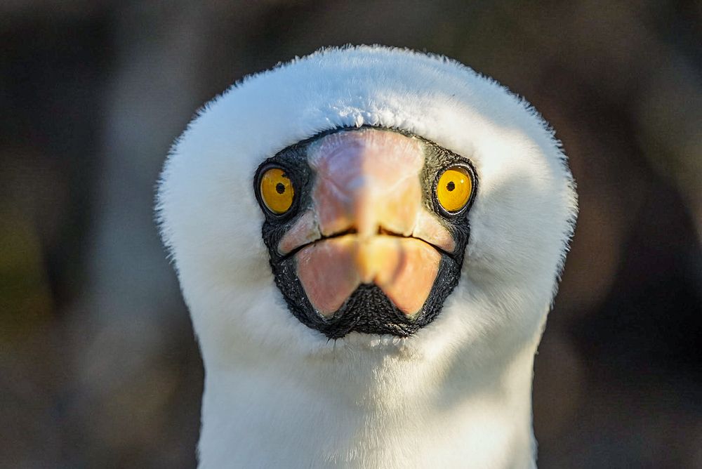 Фотография автора Jian Ma