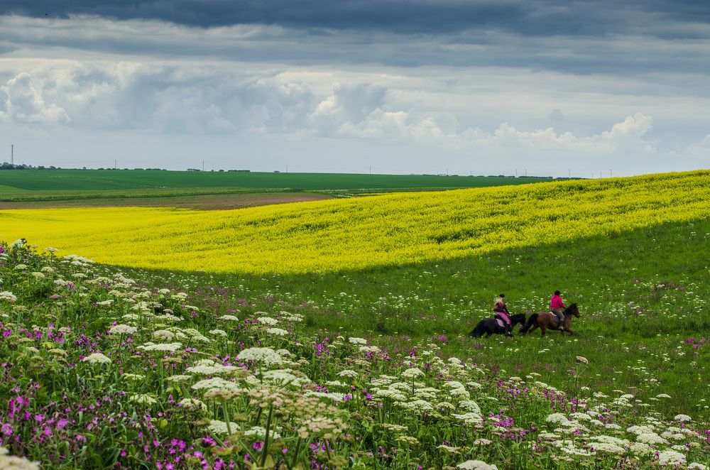 Фотография автора ZILL NIAZI