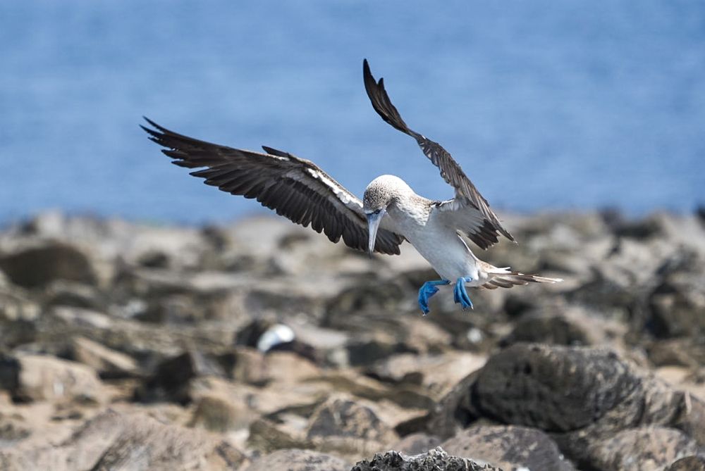 Фотография автора Jian Ma
