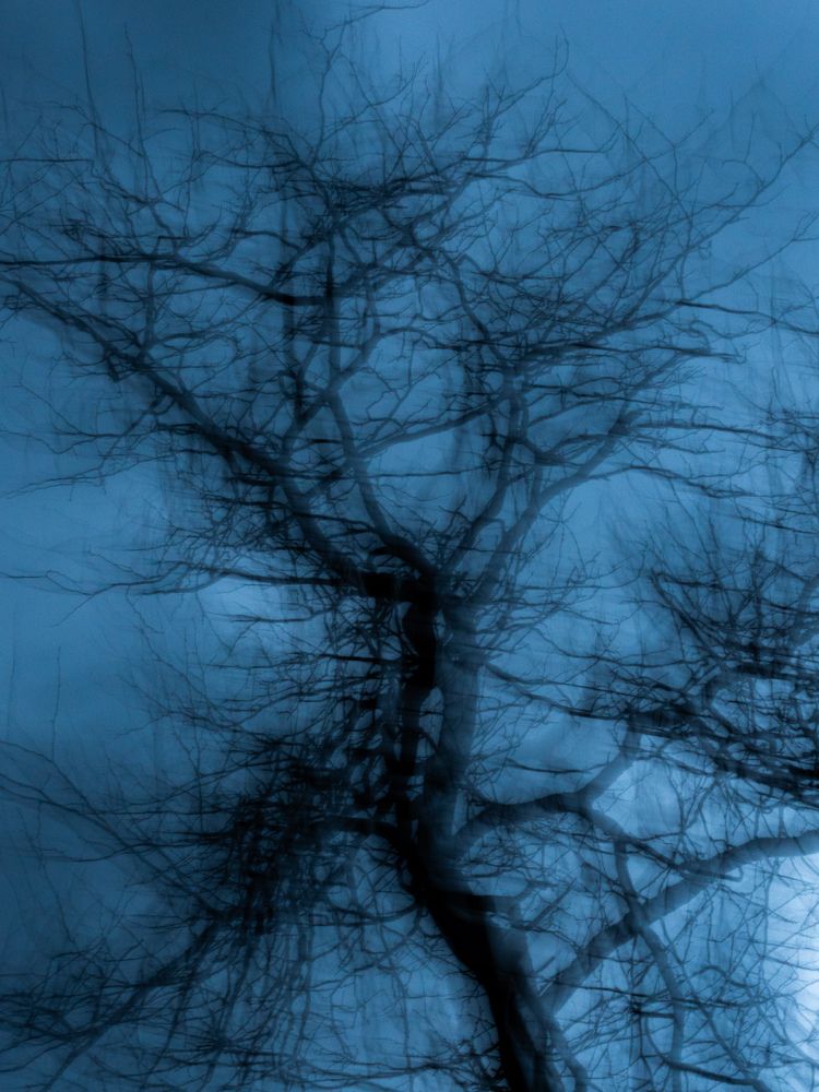 Photograph by Margarita Presidentova