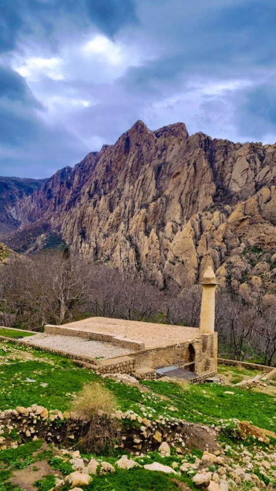 Photograph by Atefe Ghaderi