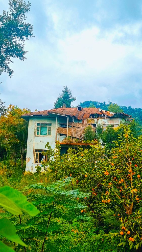 A house where life used to flow